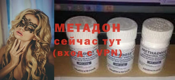 индика Алексин