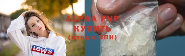 индика Алексин
