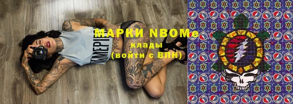 индика Алексин