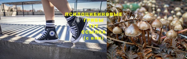гидропоника Алексеевка