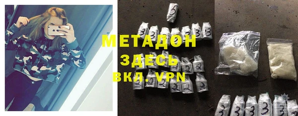 индика Алексин