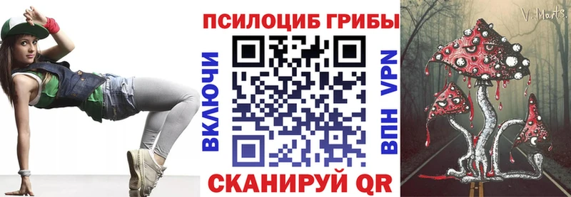 Псилоцибиновые грибы Psilocybe  Мантурово 